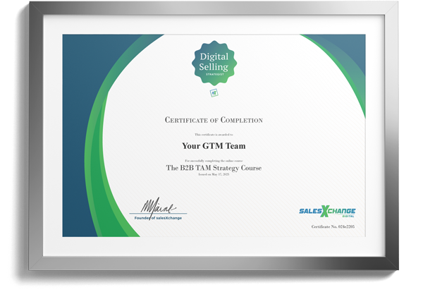 sX Course Certificate in frame