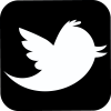 Twitter logo