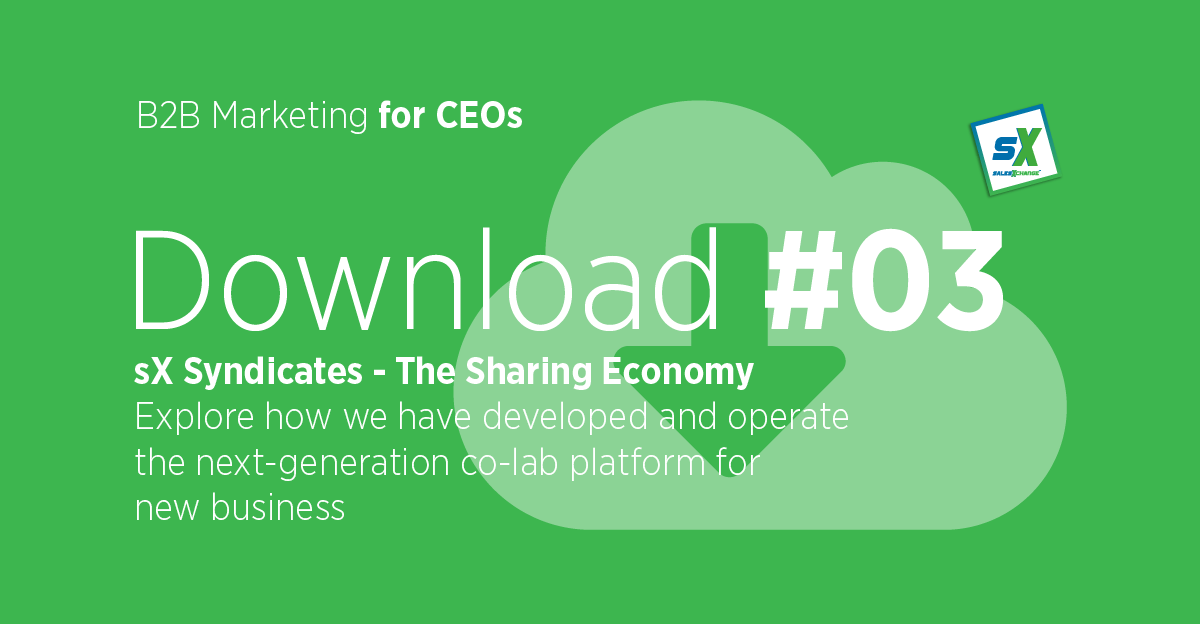 sX Syndicate Brochure - Download link  thumbnail